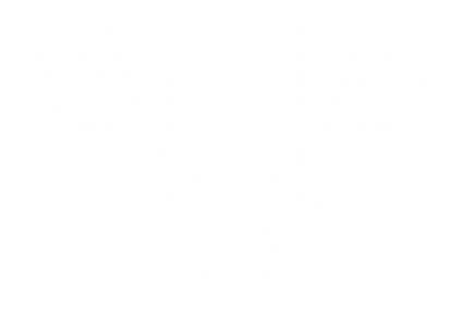 Genealogía Norestense